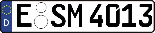 E-SM4013