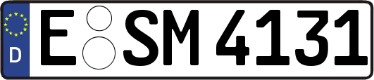 E-SM4131