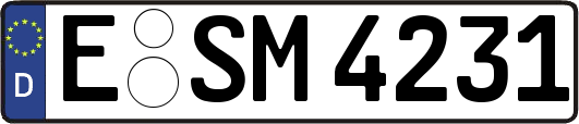 E-SM4231