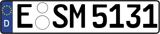 E-SM5131