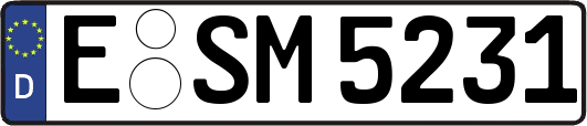 E-SM5231