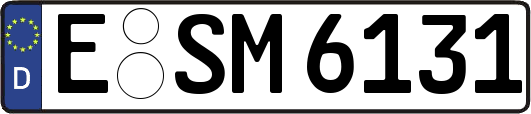 E-SM6131