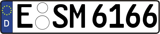E-SM6166