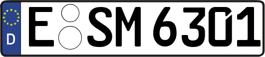 E-SM6301