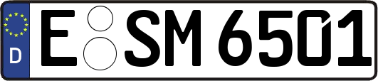 E-SM6501