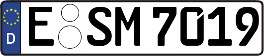 E-SM7019