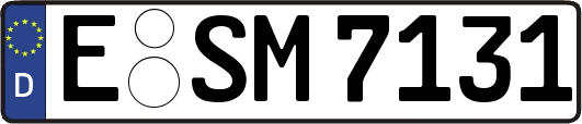 E-SM7131