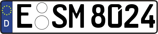 E-SM8024