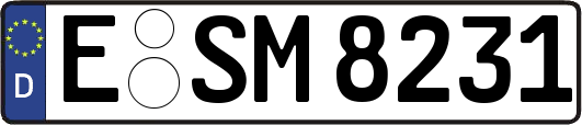 E-SM8231