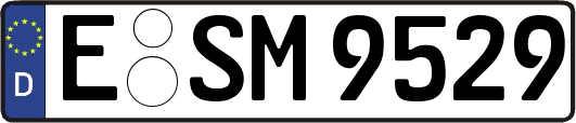 E-SM9529