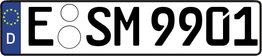 E-SM9901