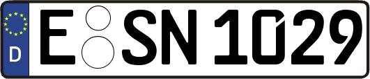 E-SN1029
