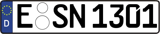 E-SN1301