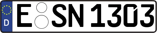 E-SN1303