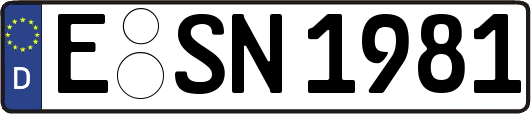 E-SN1981