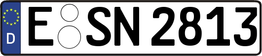 E-SN2813