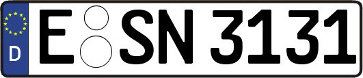 E-SN3131