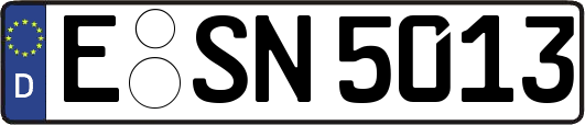 E-SN5013