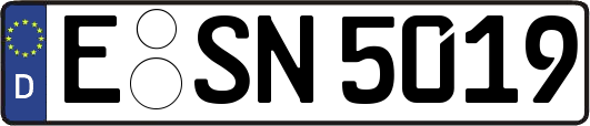 E-SN5019