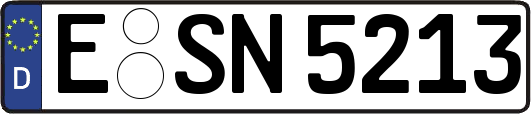 E-SN5213