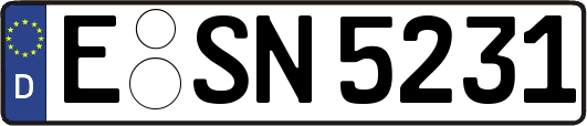E-SN5231