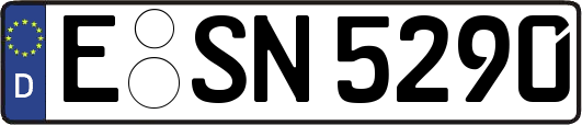 E-SN5290