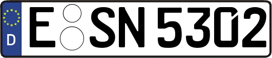 E-SN5302