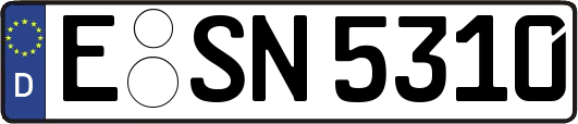 E-SN5310