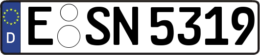 E-SN5319