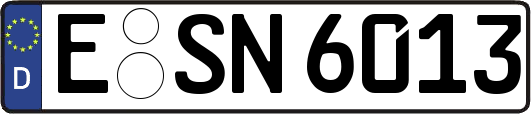 E-SN6013