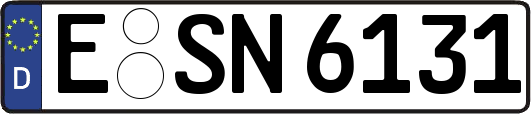E-SN6131