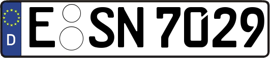 E-SN7029