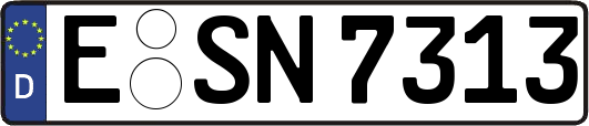 E-SN7313
