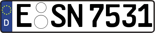 E-SN7531