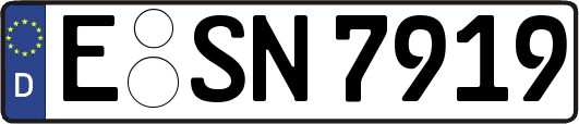 E-SN7919