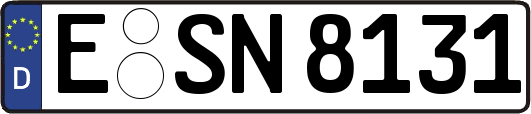 E-SN8131