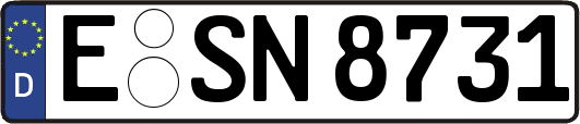 E-SN8731