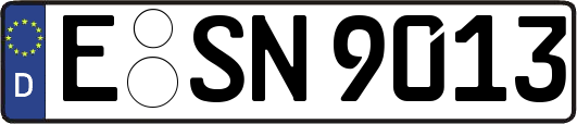 E-SN9013