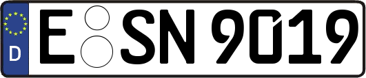 E-SN9019