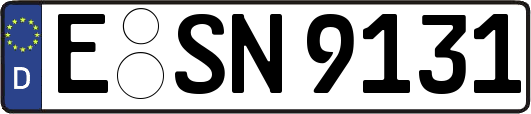 E-SN9131