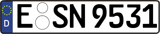E-SN9531