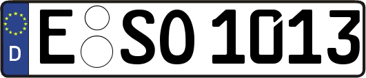 E-SO1013