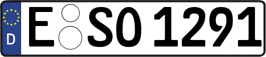 E-SO1291