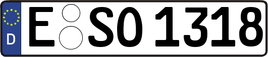 E-SO1318