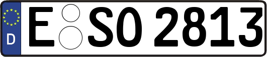 E-SO2813