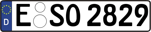 E-SO2829
