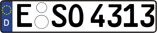 E-SO4313