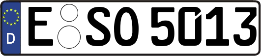 E-SO5013