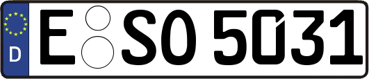 E-SO5031