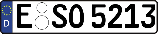 E-SO5213